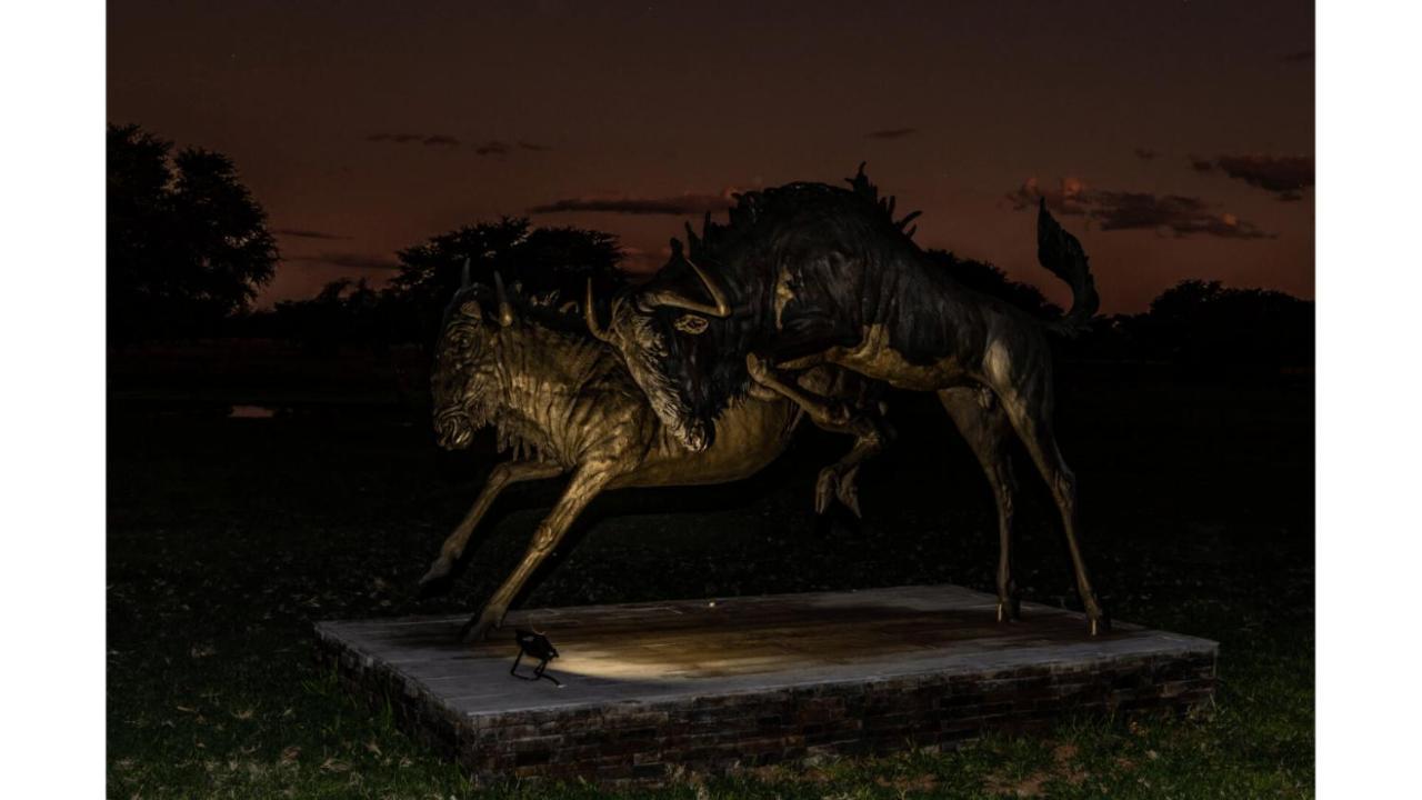 Sandune Game Lodge Gobabis Eksteriør bilde